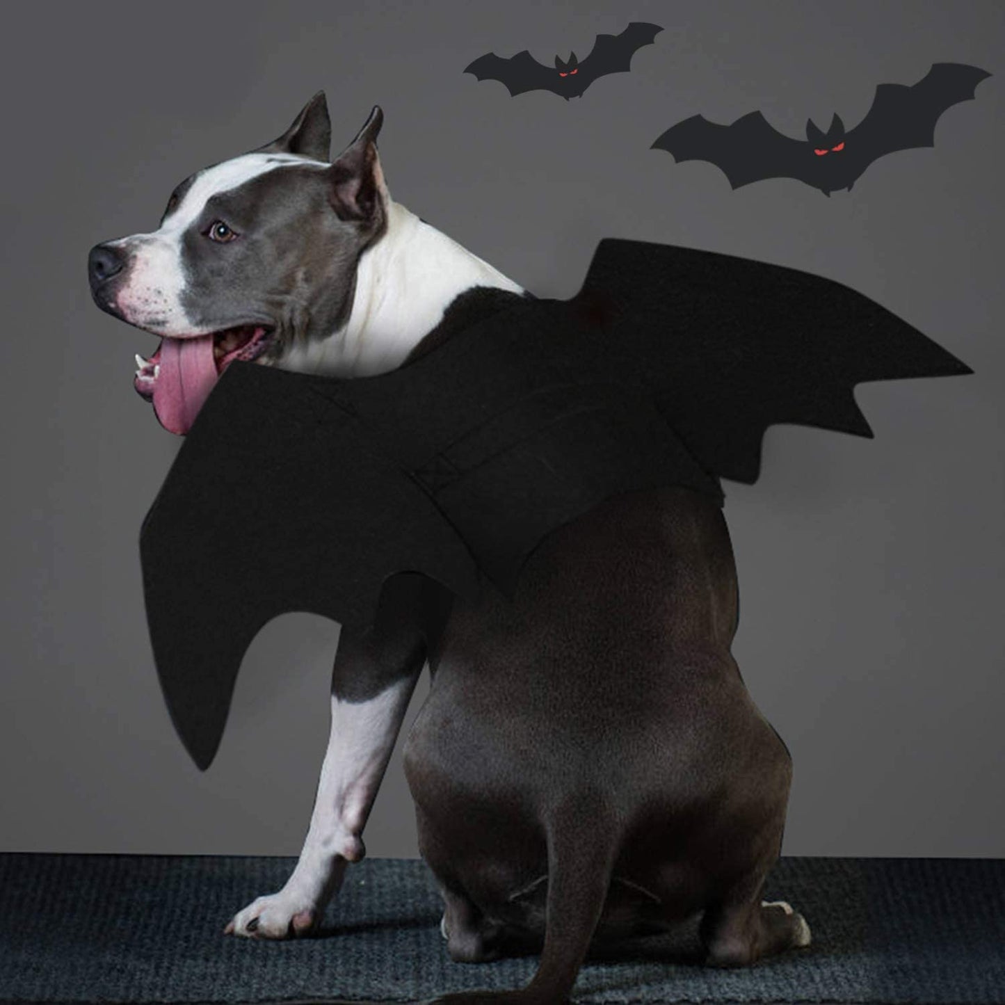 Dog Bat Costume - Halloween Pet Costume Bat Wings Cosplay Dog Costume Cat Costume for Party